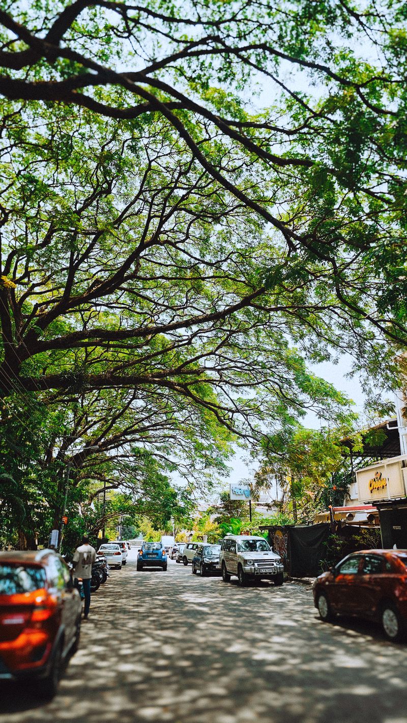 Malleshwaram, a representative image of Bengaluru, not a photograph of this place.