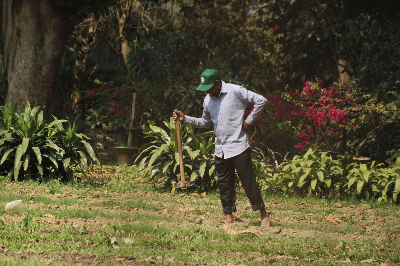 a gardener works barefoot in a vibrant outdoor garden surrounded by gr