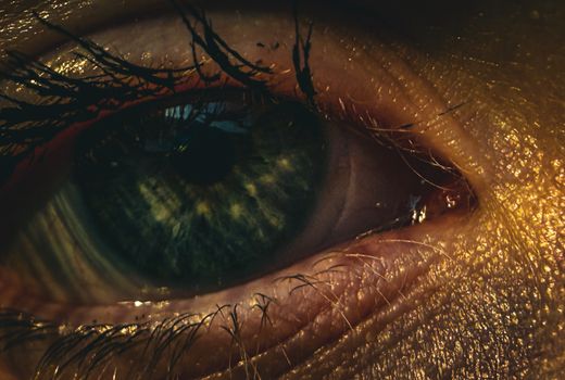 Detailed macro close-up of a human eye with green iris and golden lighting for artistic effect.