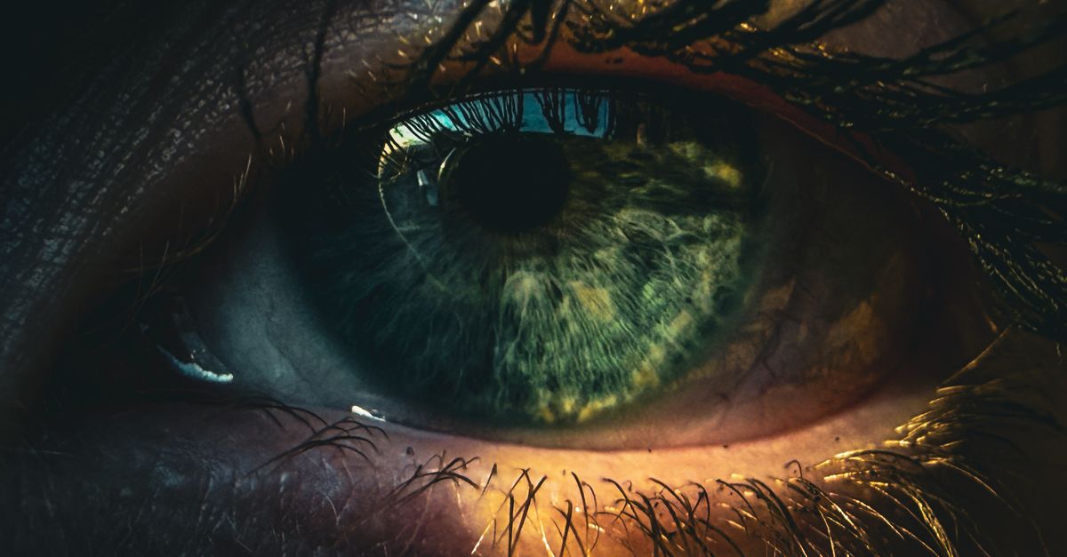 AIIMS Expands Cornea Retrieval Network with Three New Hospitals