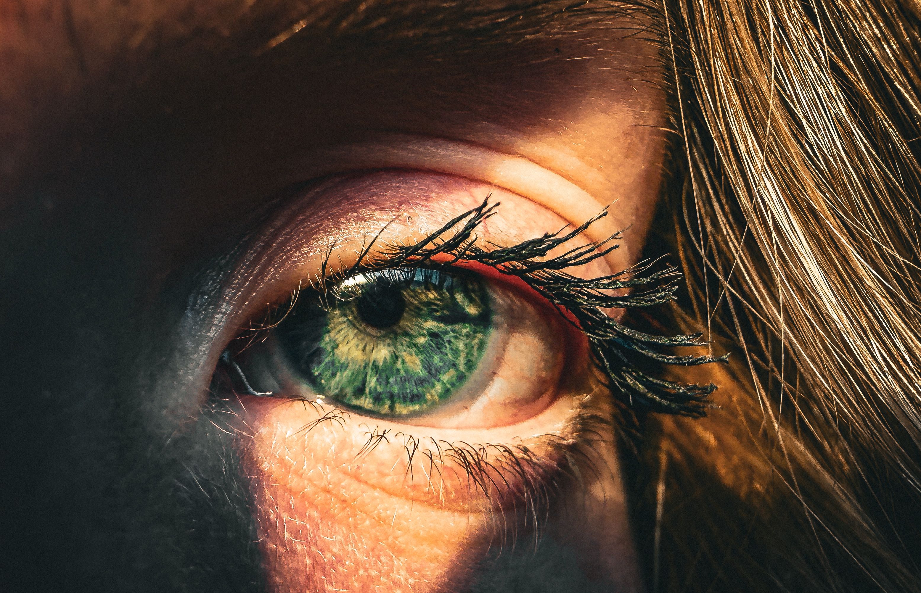 Vivid close-up of a green eye with prominent lashes, bathed in warm sunlight, creating a dramatic effect.