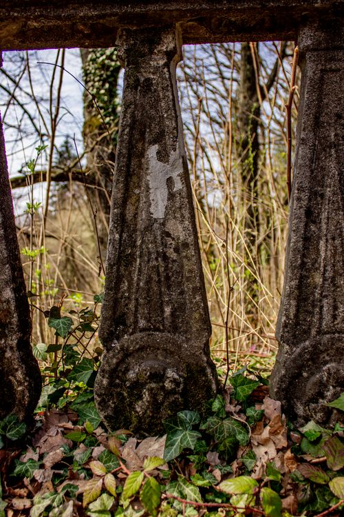 Free An old stone balustrade surrounded by ivy and dry leaves in a garden, showcasing natural decay. Stock Photo