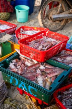 Vibrant display of freshly caught squid in baskets at Đông Ninh Hòa fishing village market.