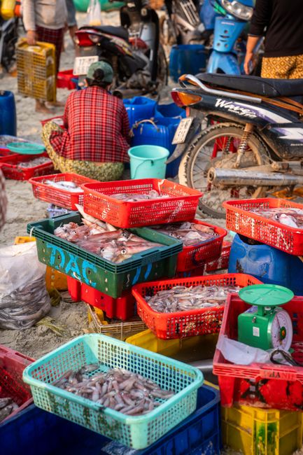Vibrant early morning seafood market in Quang Ninh, fresh fish, shrimp, squid displayed in baskets, local women trading energetically, wet market textures, authentic Vietnamese coastal culture, highly detailed