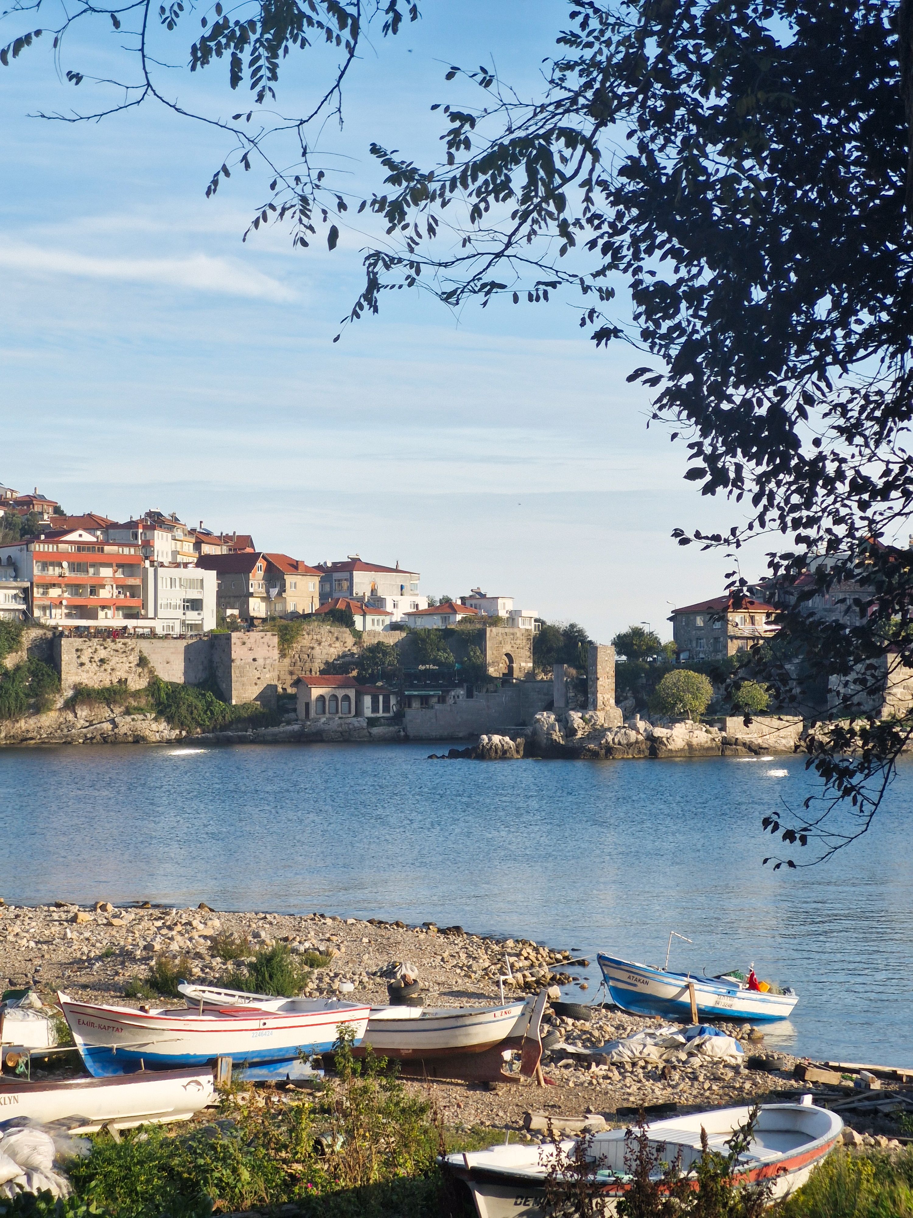 Scenic Harbor View in Quaint Coastal Town · Free Stock Photo