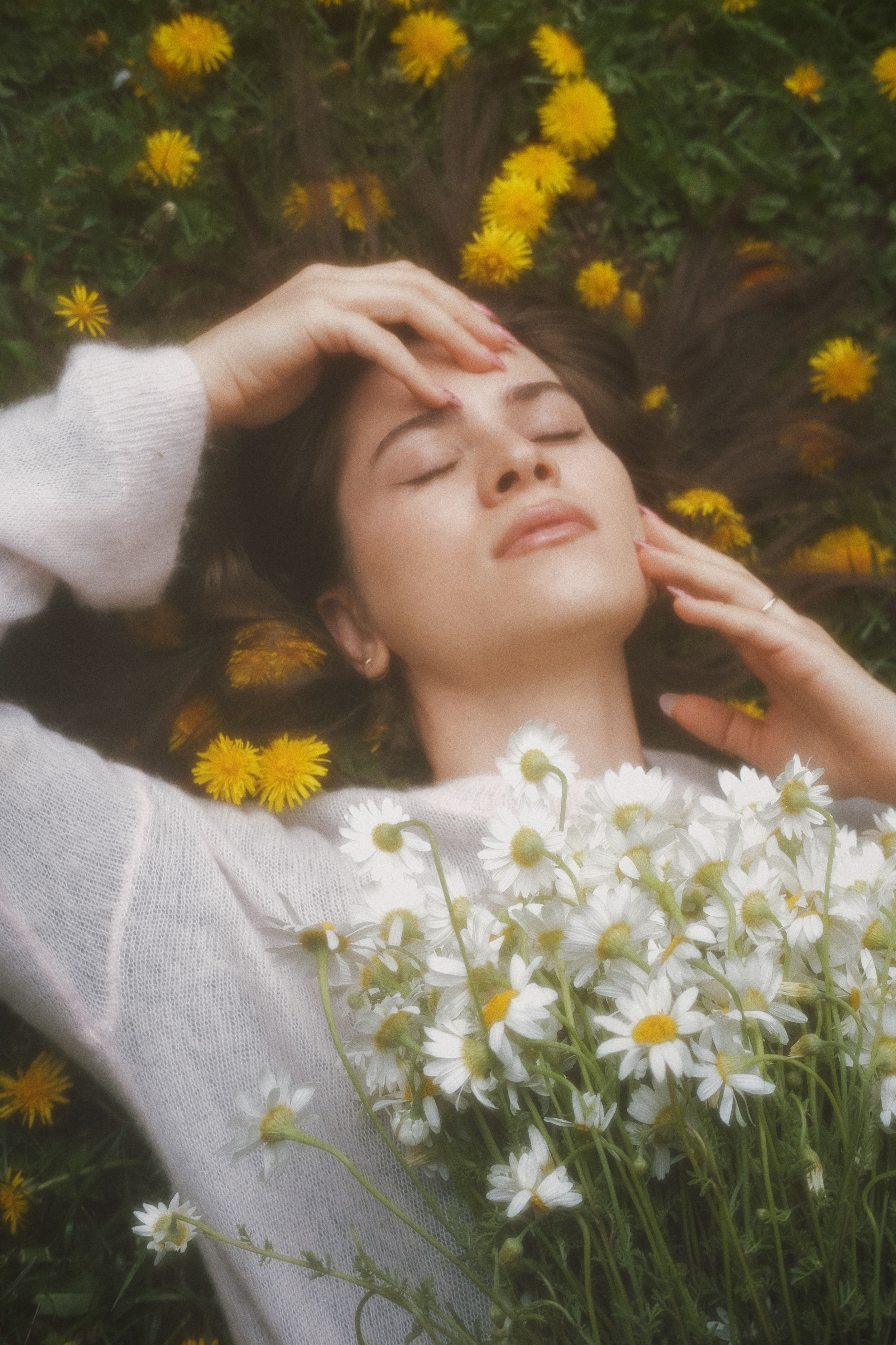 Woman Relaxing in Daisies with Closed Eyes · Free Stock Photo