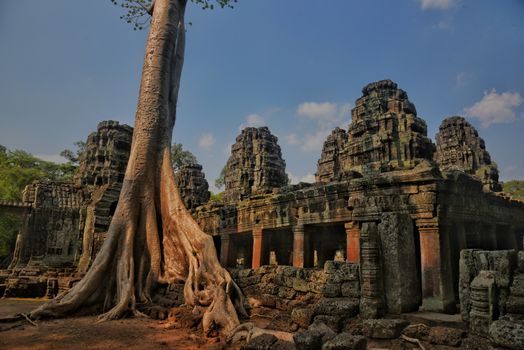 Ta Prohm and Bayon with archaeologist — Siem Reap