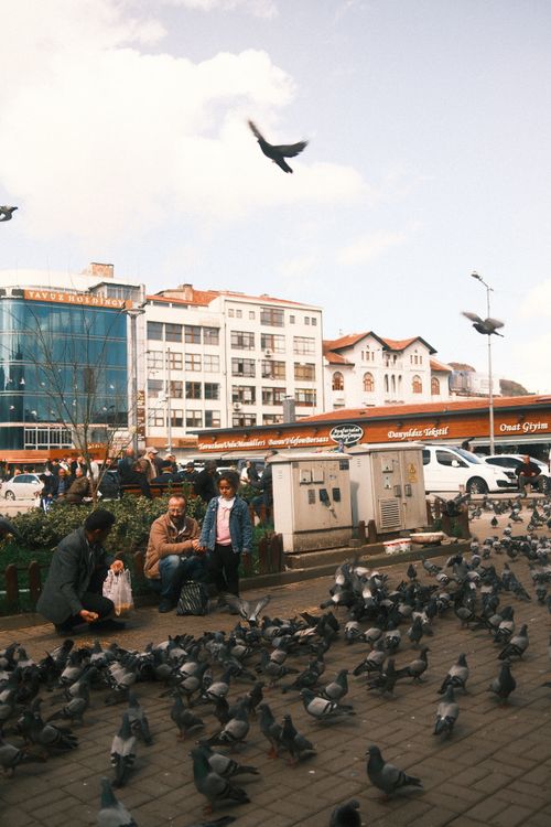 Free City square bustling with pigeons and people feeding birds on a busy day outdoors. Stock Photo