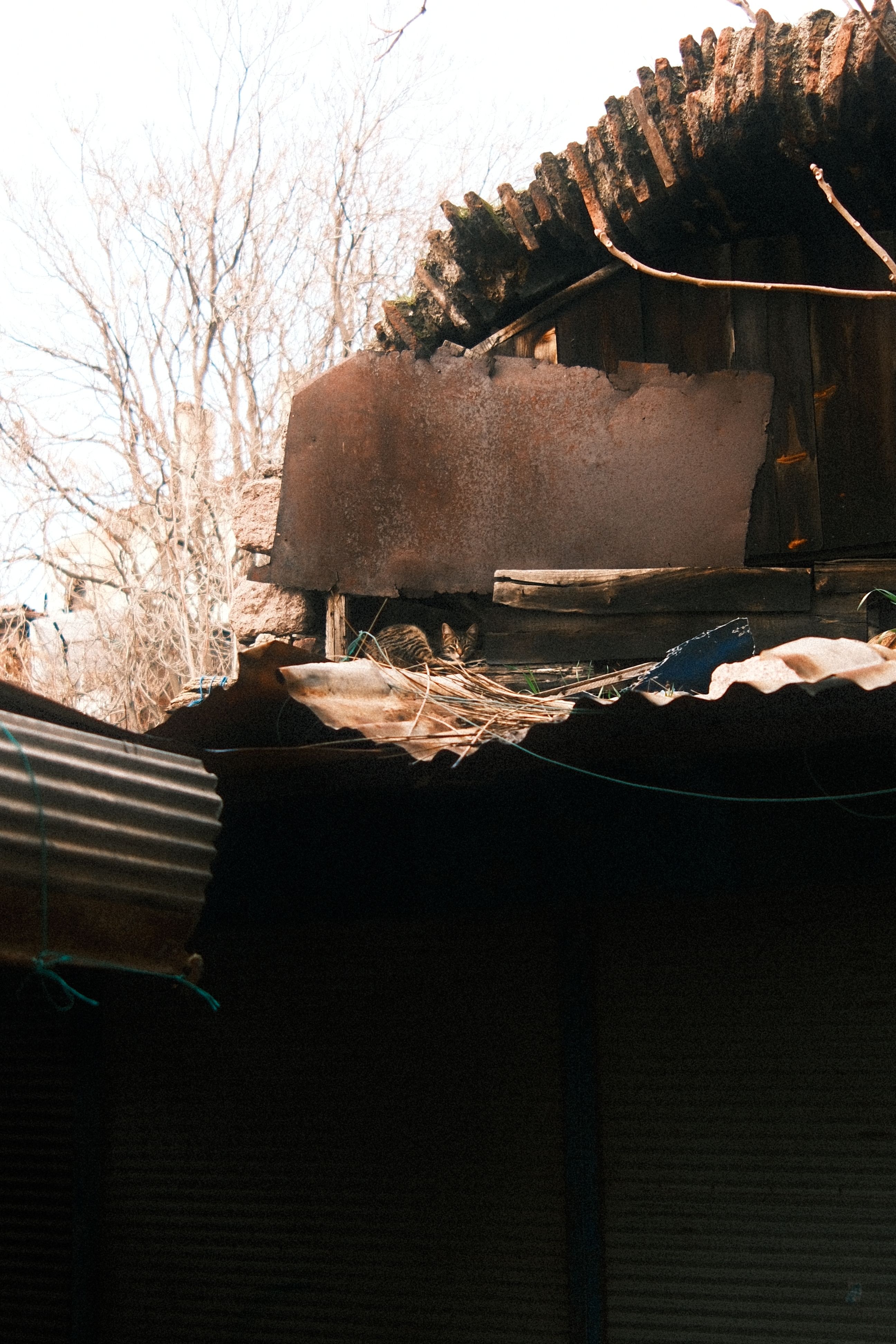 Metal Roof Installation Services in Reseda, CA