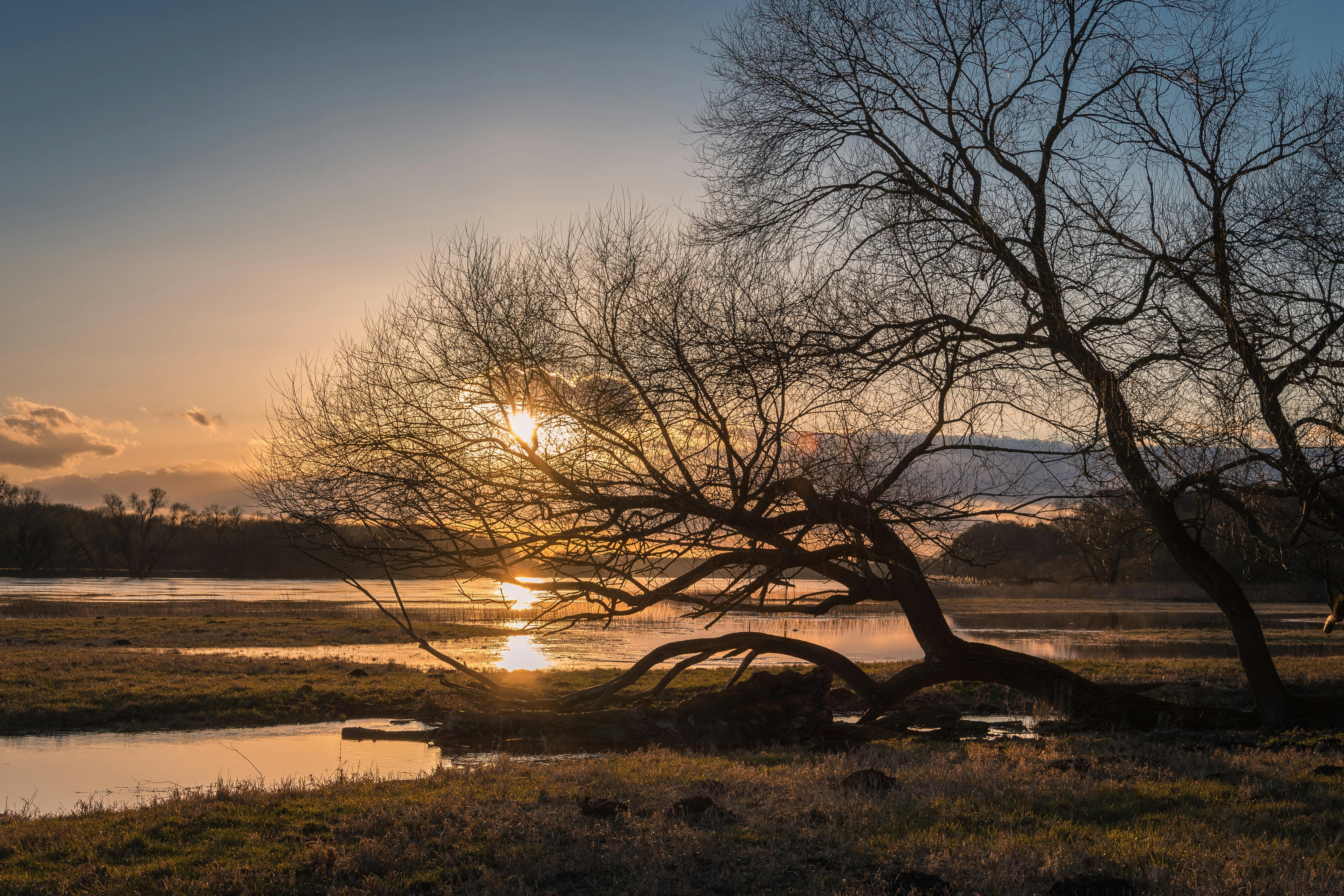 Georgia Solar Installation: Complete 2025 Guide