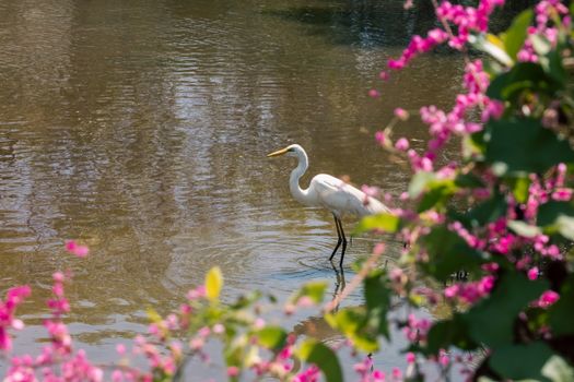 Image by Ann Barnes