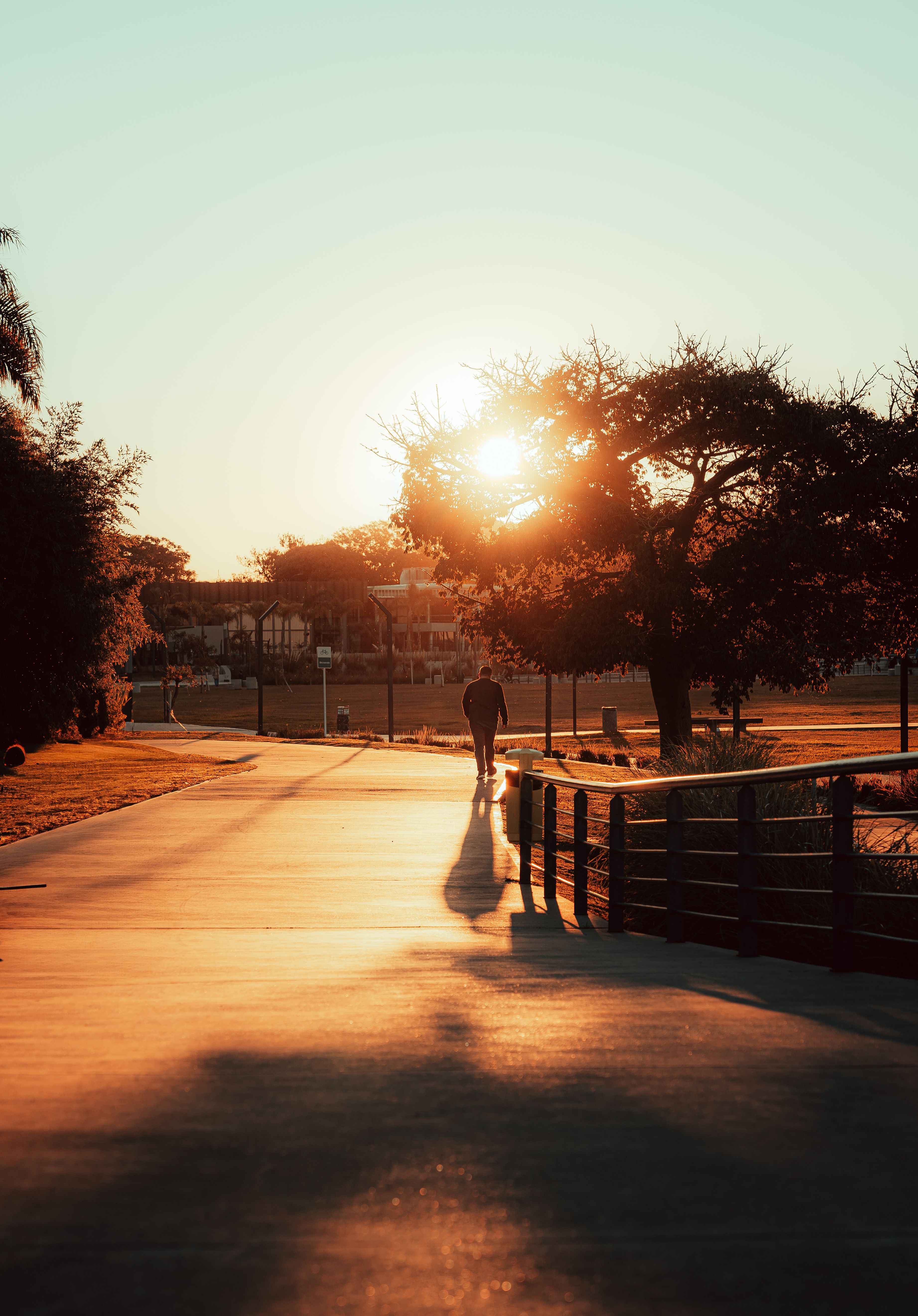 A person walking on a pathway during sunset, casting a long shadow in a serene park setting.