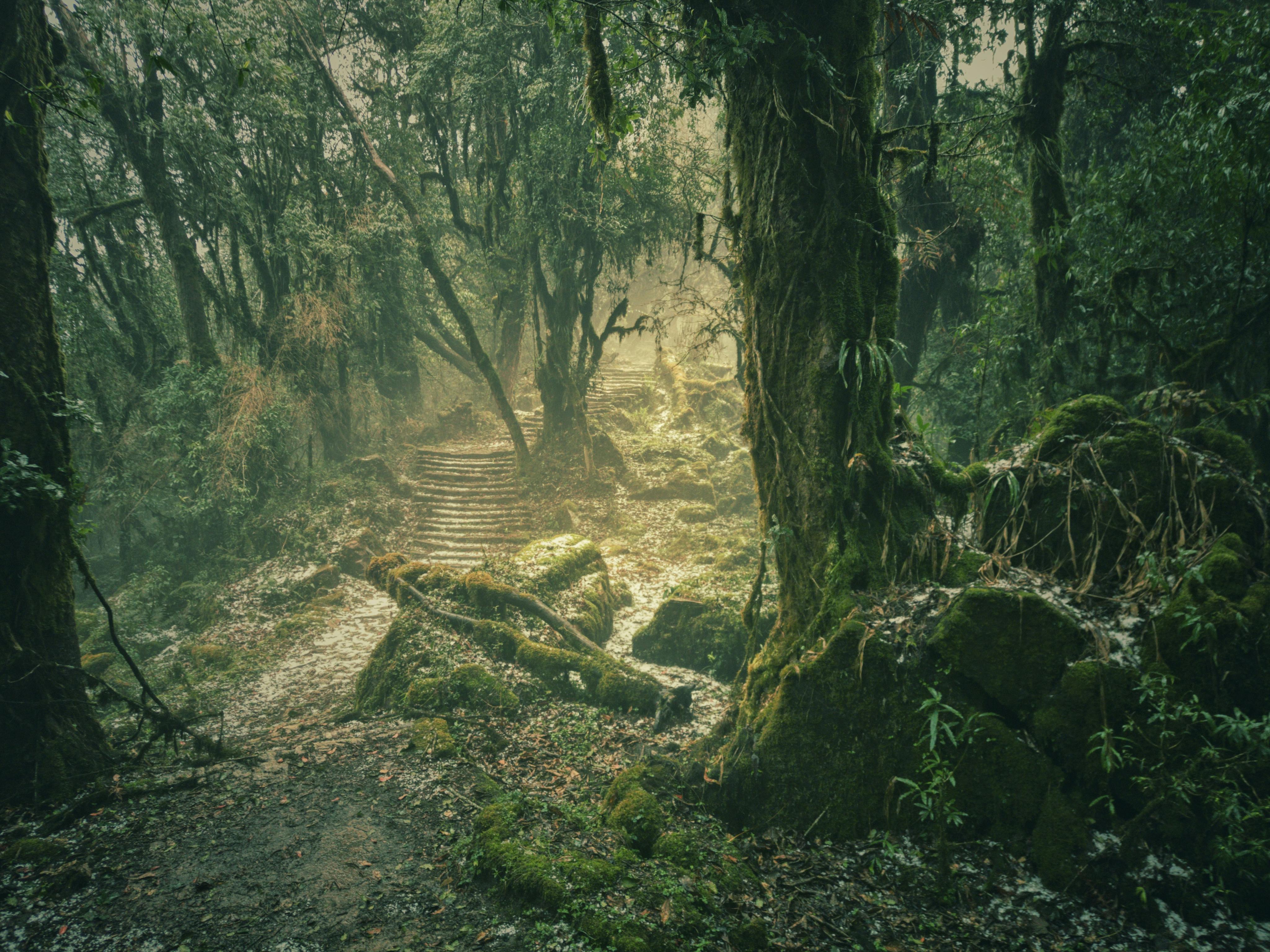 Gosaikunda Trek