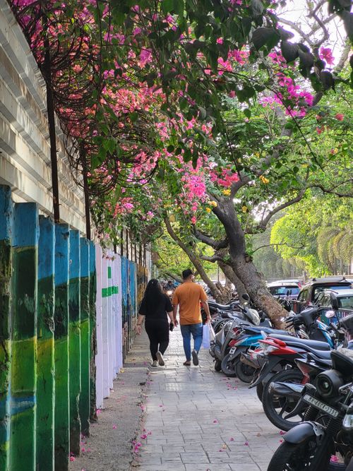 Free A couple walks under vibrant bougainvillea on a lively urban street lined with parked scooters. Stock Photo