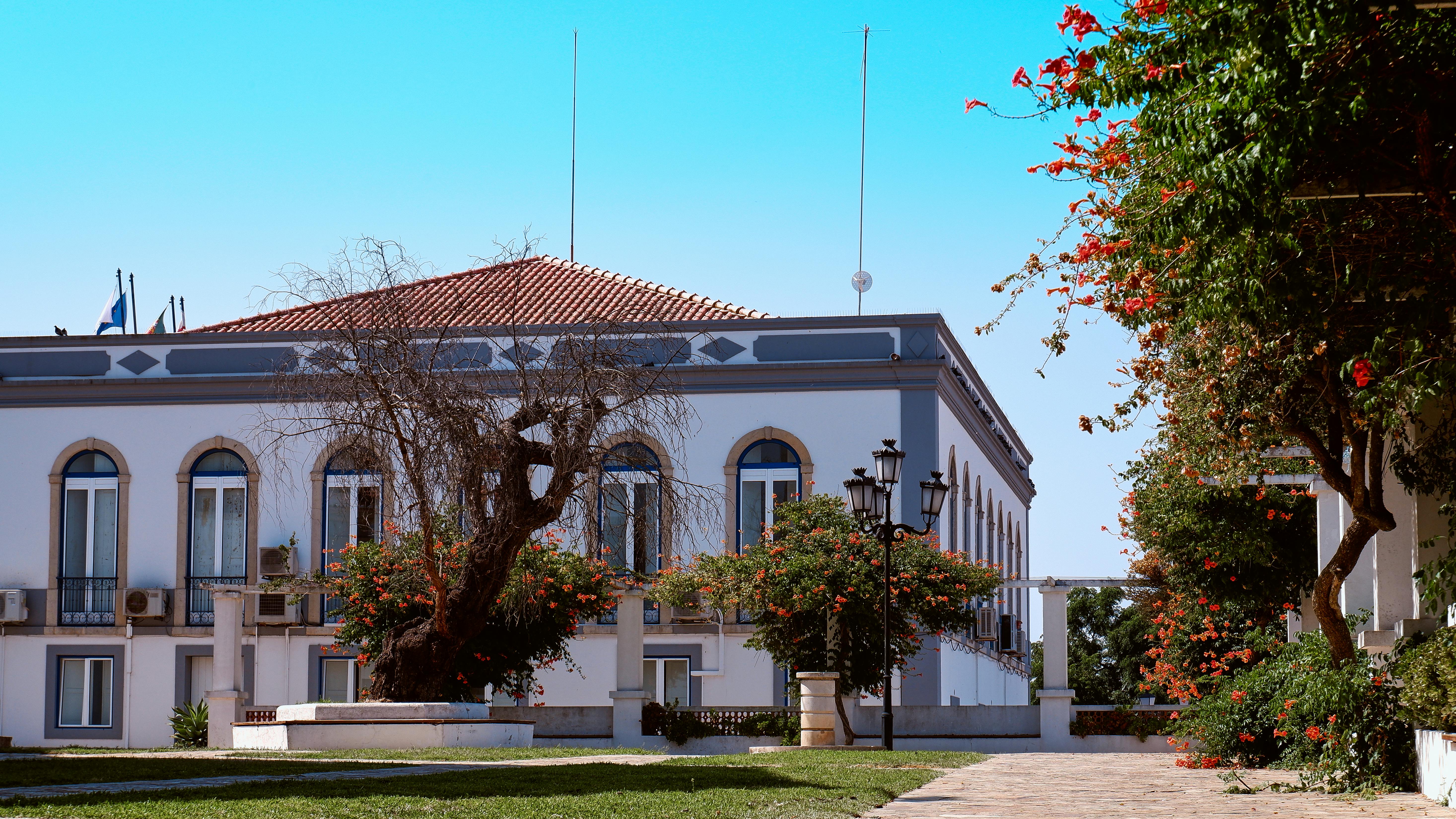 Public Polling on the Supreme Court — Photo by Nils Rotura on Pexels