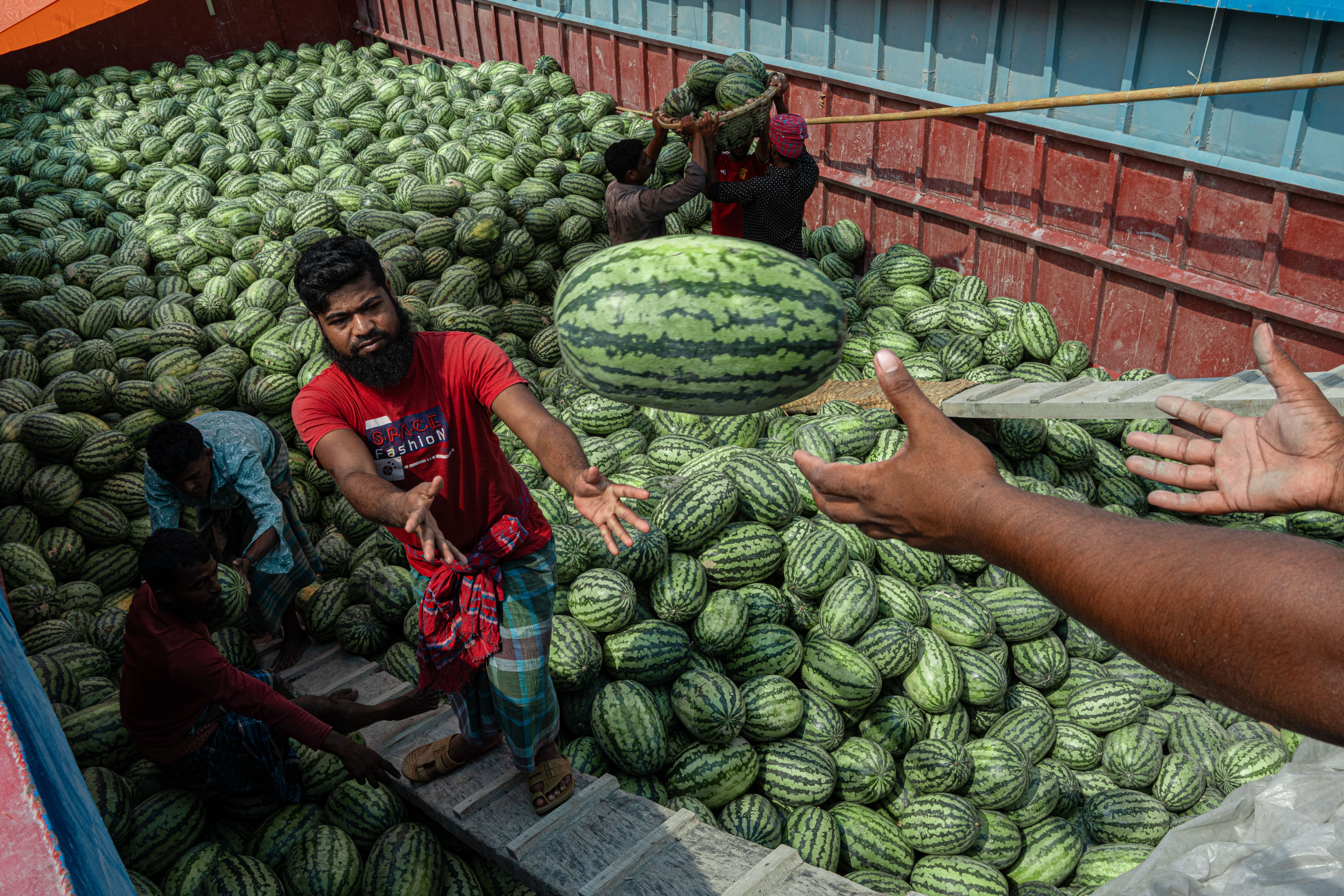 Workers Loading Watermelons in a Truck · Free Stock Photo