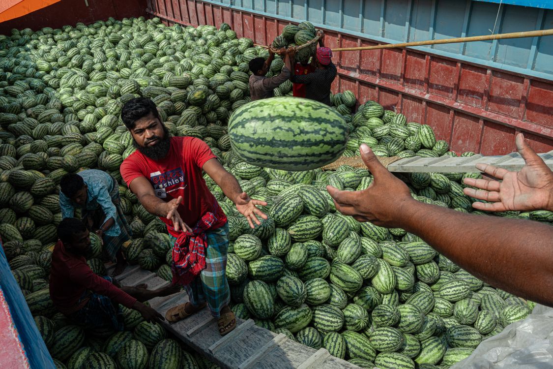 Line Loading Watermelons Workers Loading Watermelons in a Truck · Free Stock Photo