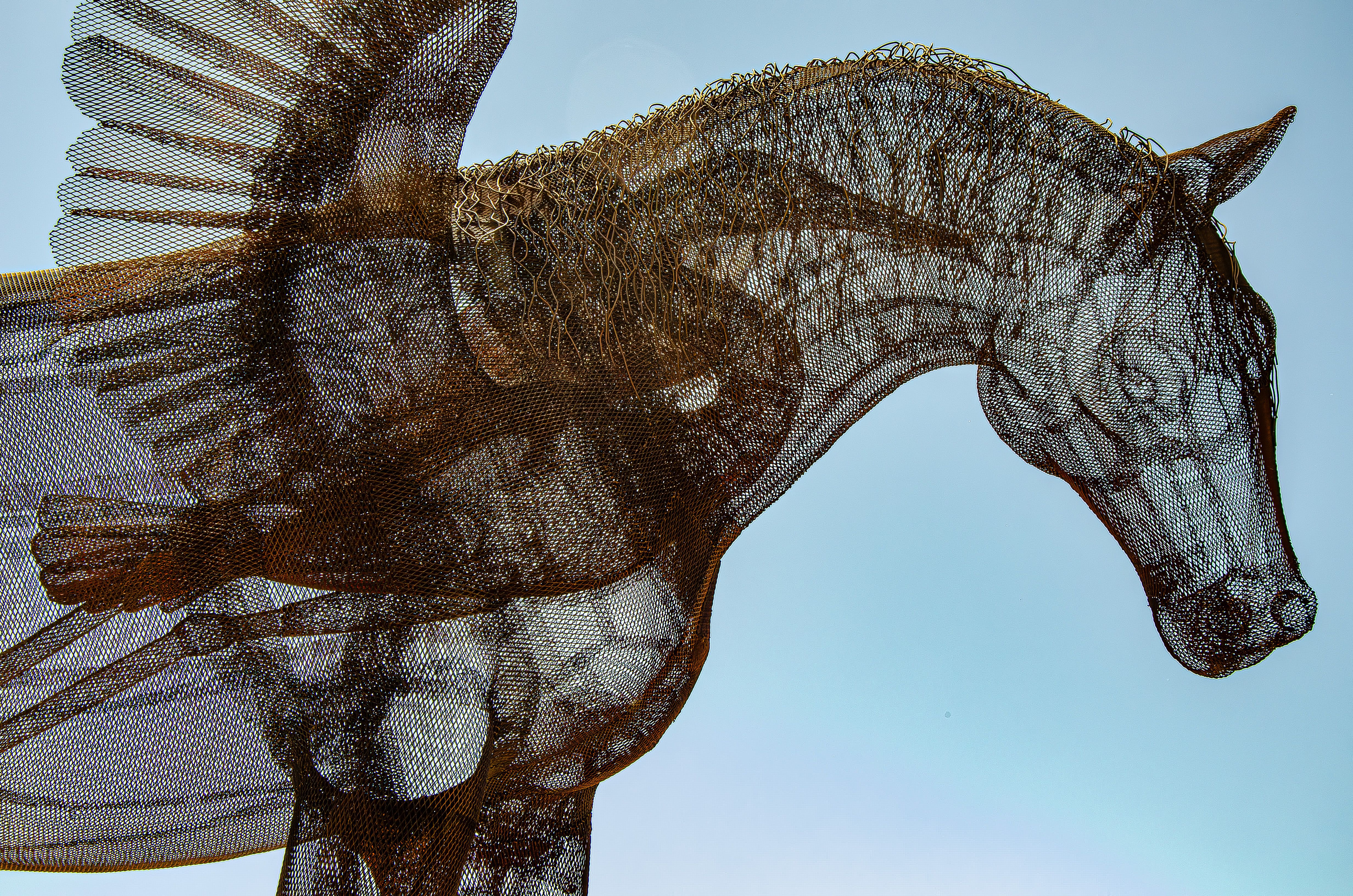 Artistic wire mesh sculpture of a horse in outdoor daylight, showcasing intricate detail and creativity.