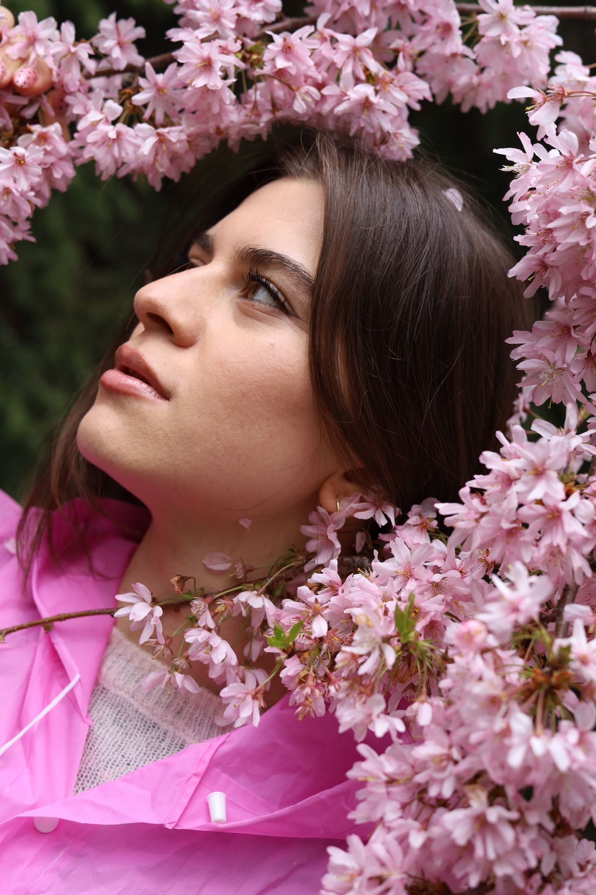 A Woman Standing and Posing under Cherry Blossom Tree · Free Stock Photo