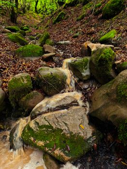 Small forest stream flowing over vibrant moss-covered rocks creating a serene natural scene.