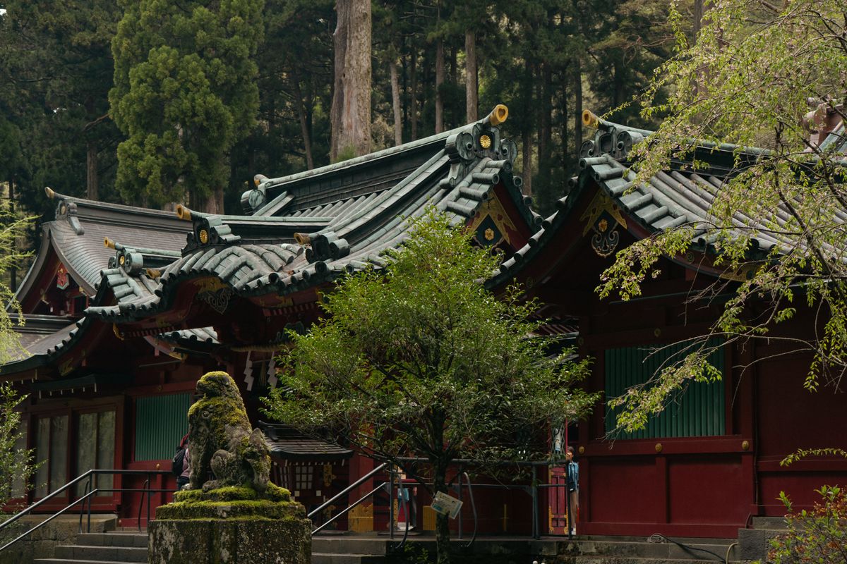 箱根神社を参拝