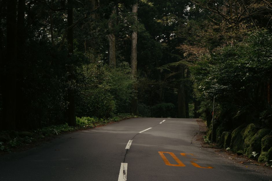 OPTION - Old Tokaido cedar avenue + Onshi-Hakone Park