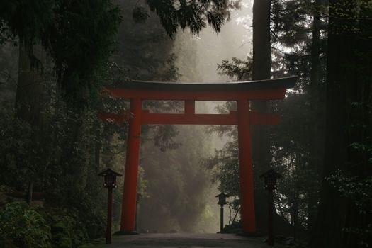 Torii gate in a misty forest setting in Hakone, showcasing traditional Japanese culture.