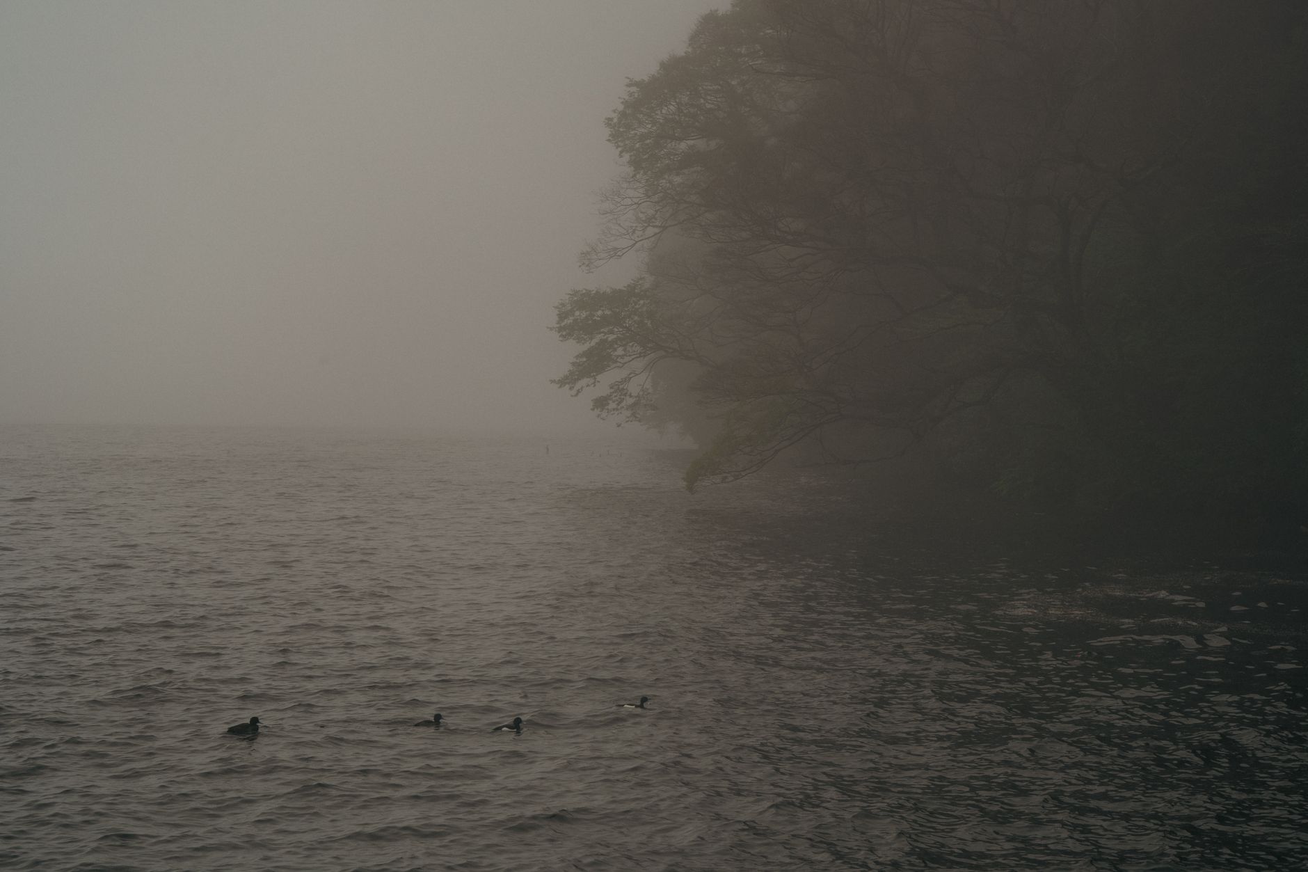 Hakone, foto van Iban Lopez Luna