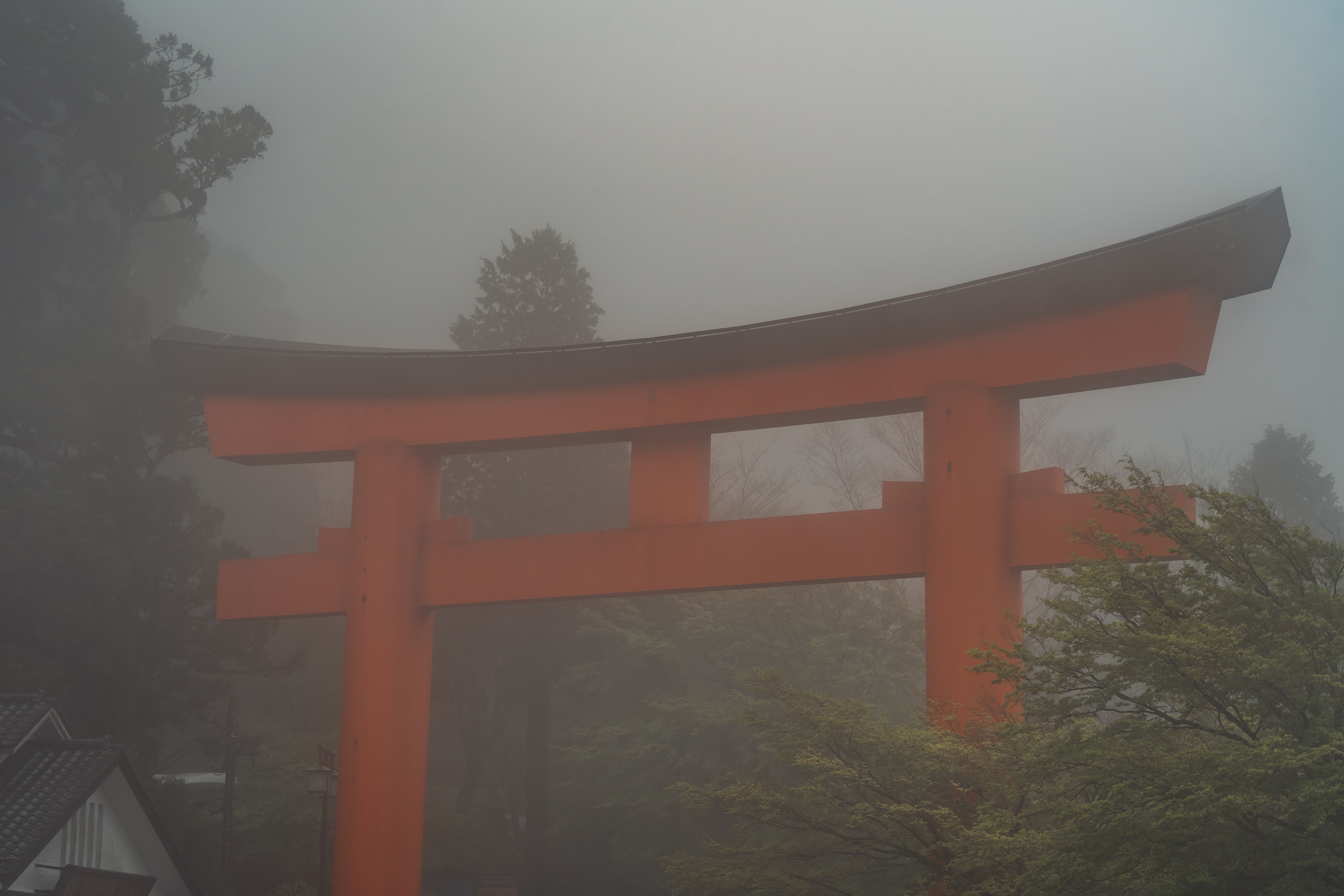 Yūgen: The Japanese Art of Perceiving Beauty in Life's Deepest Mysteries