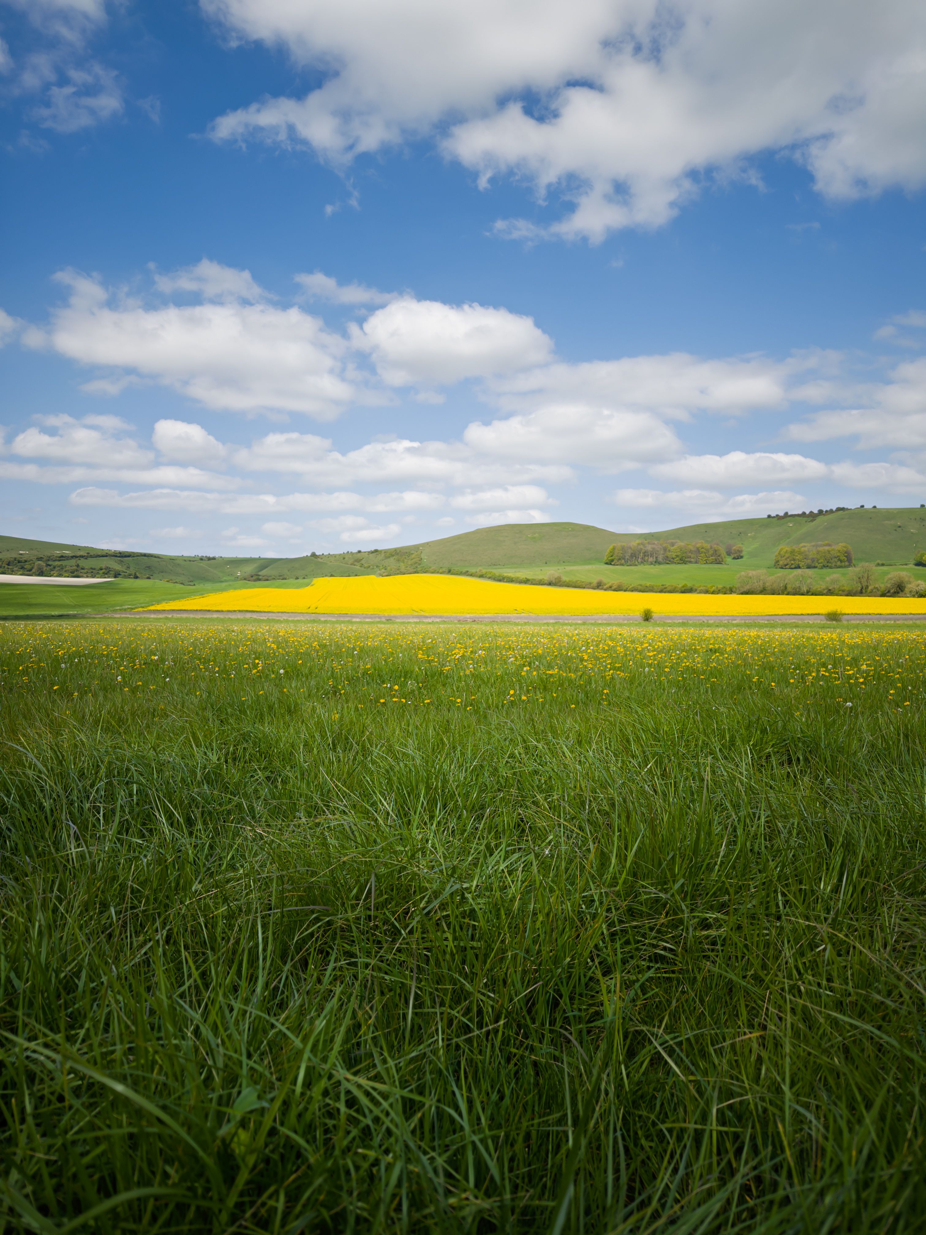 Picturesque English Countryside in Spring Bloom · Free Stock Photo