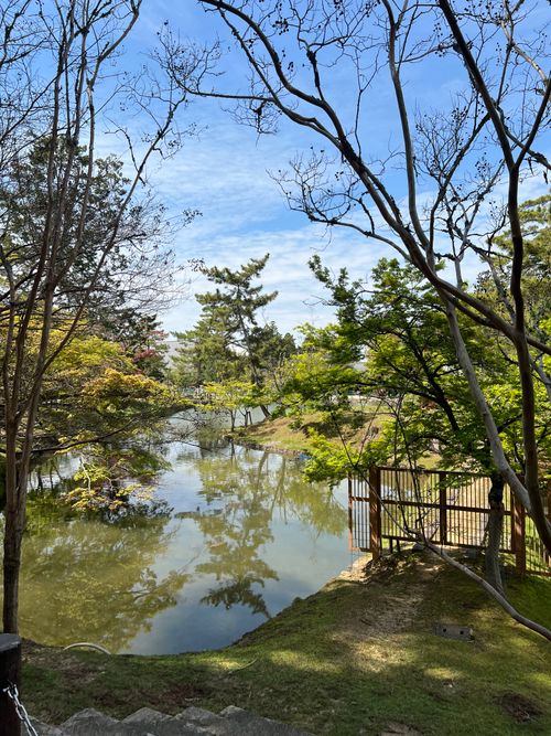 Free Tranquil Japanese garden featuring a serene pond surrounded by lush greenery under a clear sky. Stock Photo