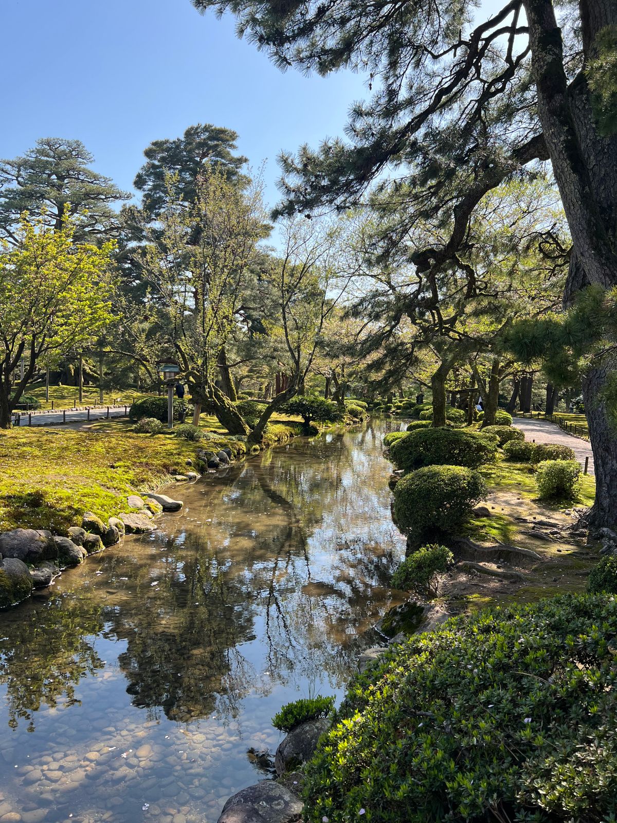 Reflective pond surrounded by trees in a Japanese landscape garden, similar to the ponds of Ritsurin Garden
