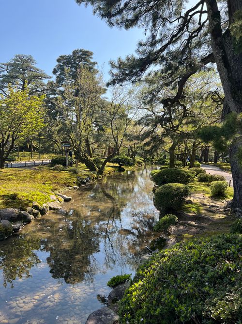Free Peaceful Japanese garden scene with a reflective pond surrounded by trees and greenery. Stock Photo
