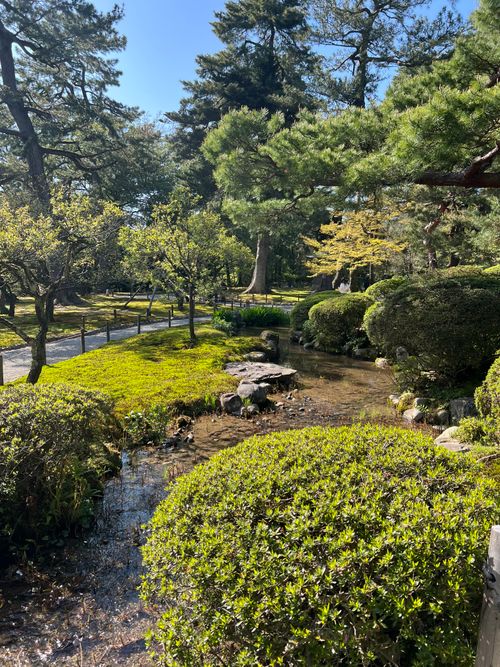 Free Exploring a tranquil Japanese garden with lush greenery and a gentle stream under clear blue skies. Stock Photo