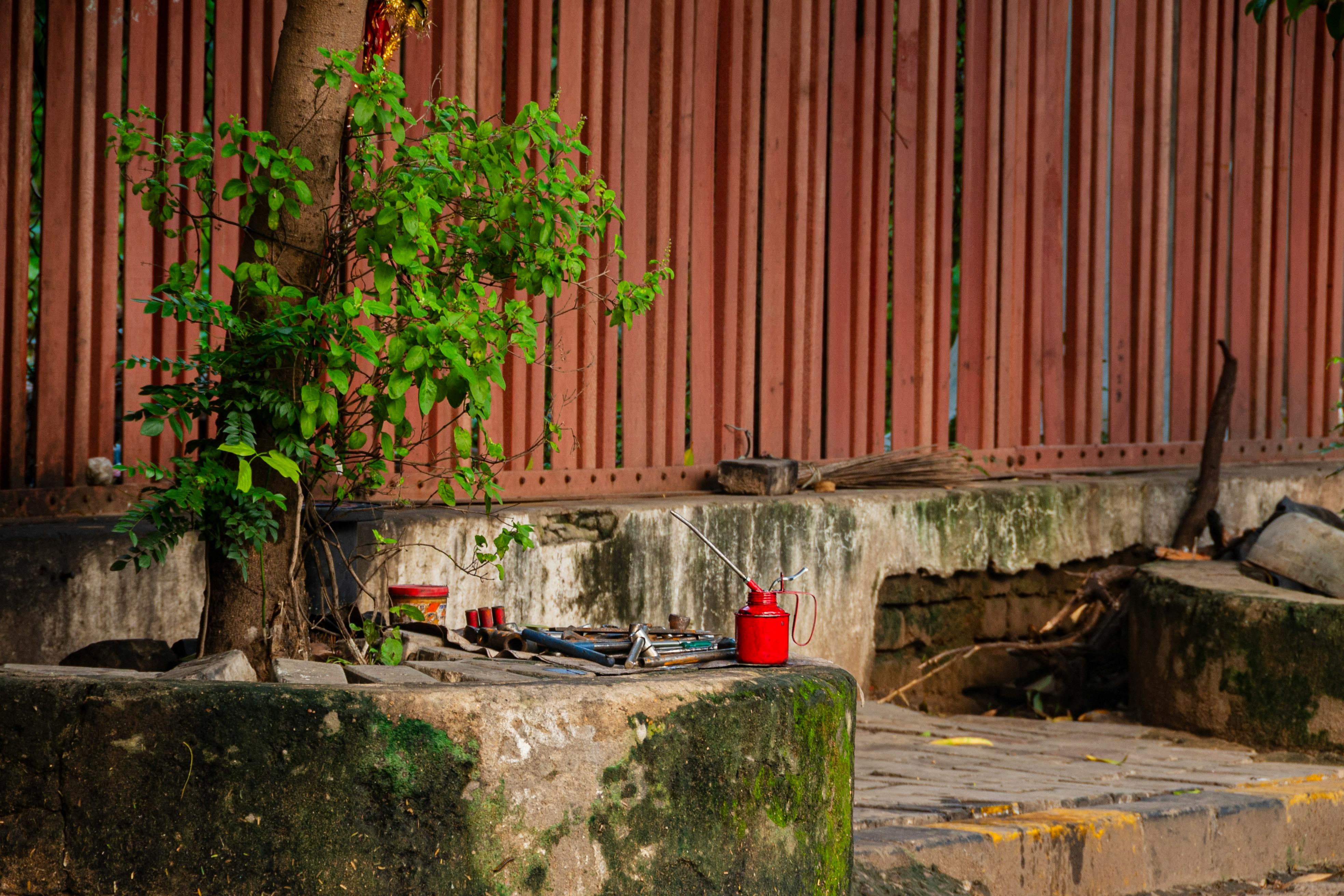 27 Best Gardening Tools for All Plant Parents, From Beginners to Experts — Photo by Kashvi Shah on Pexels