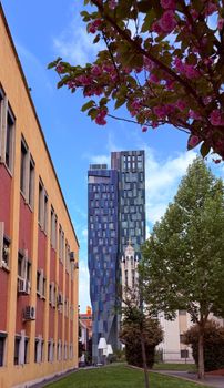 Vibrant cityscape featuring modern architecture against springtime blossoms under a clear blue sky.