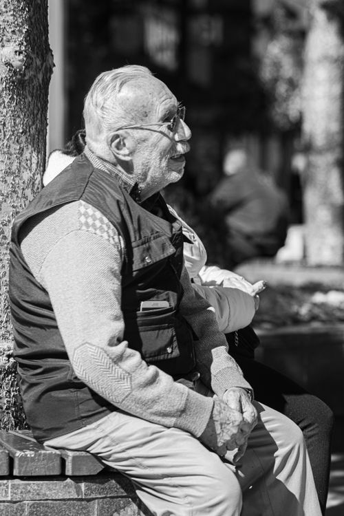 Free A senior man in a vest and cap sits on a sunny park bench, enjoying a peaceful day outdoors. Stock Photo