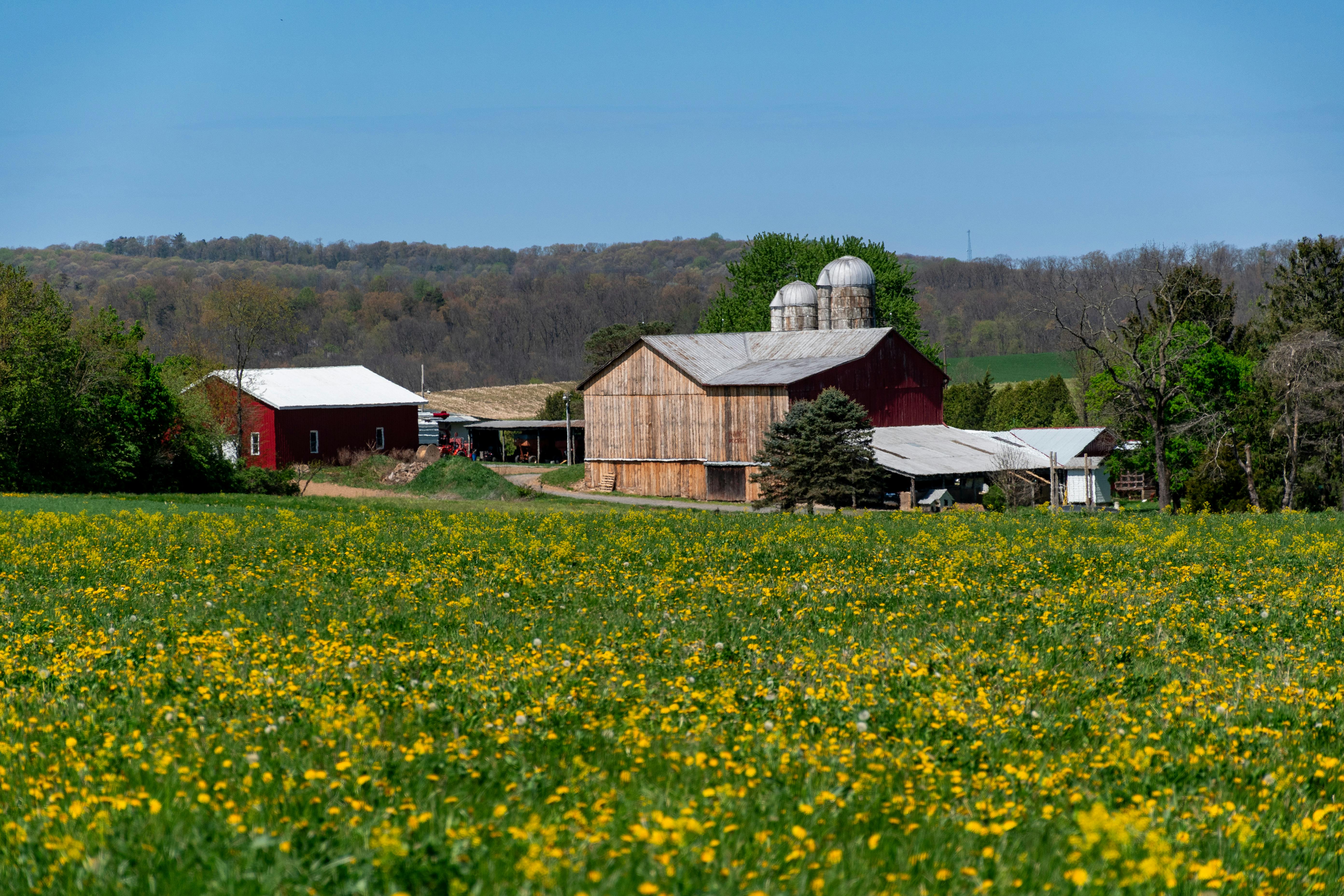 Ohio rural healthcare access — an advanced solution? — Photo by Michael S on Pexels