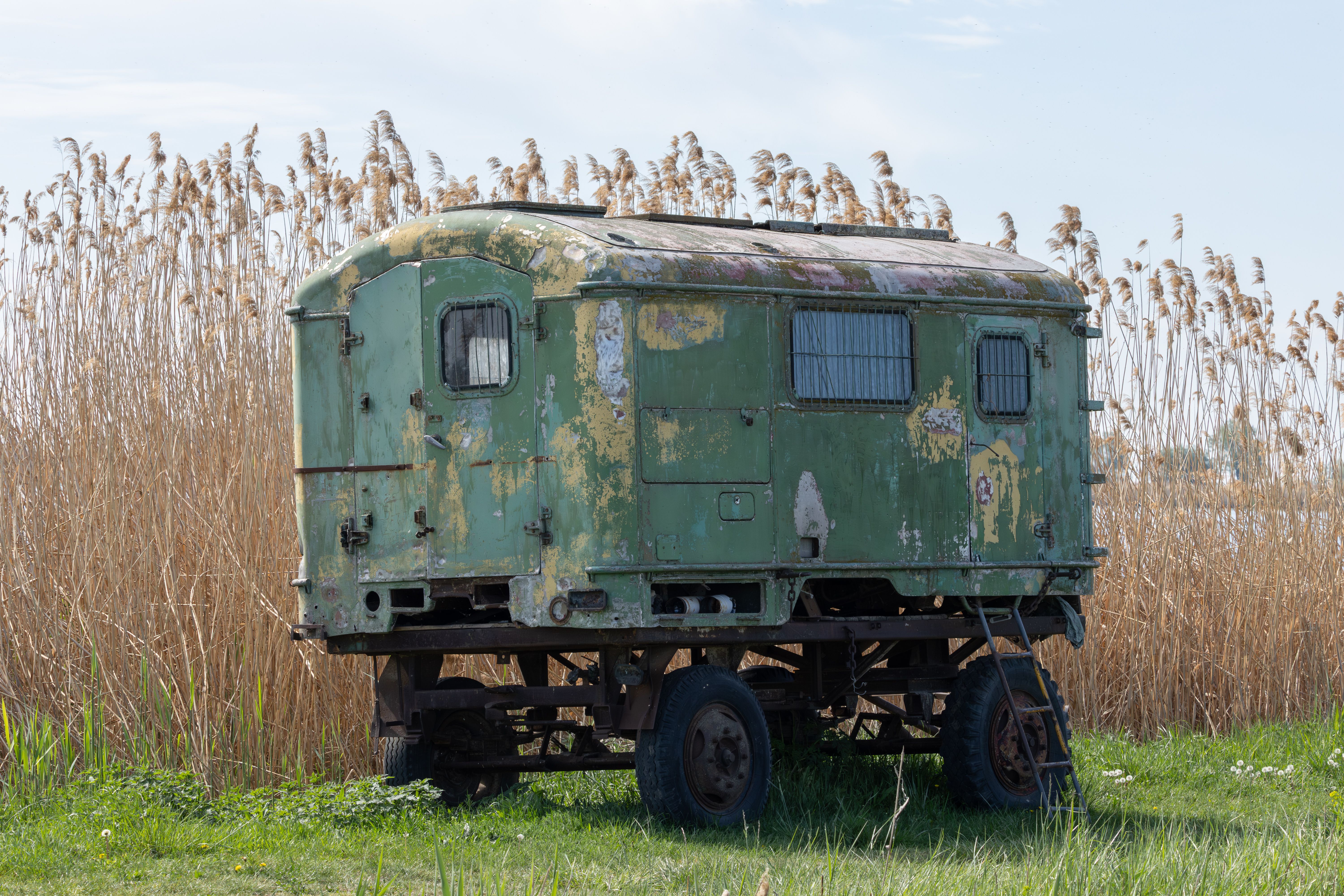 Old utility trailer with rotted deck and bent gate being evaluated for cash purchase