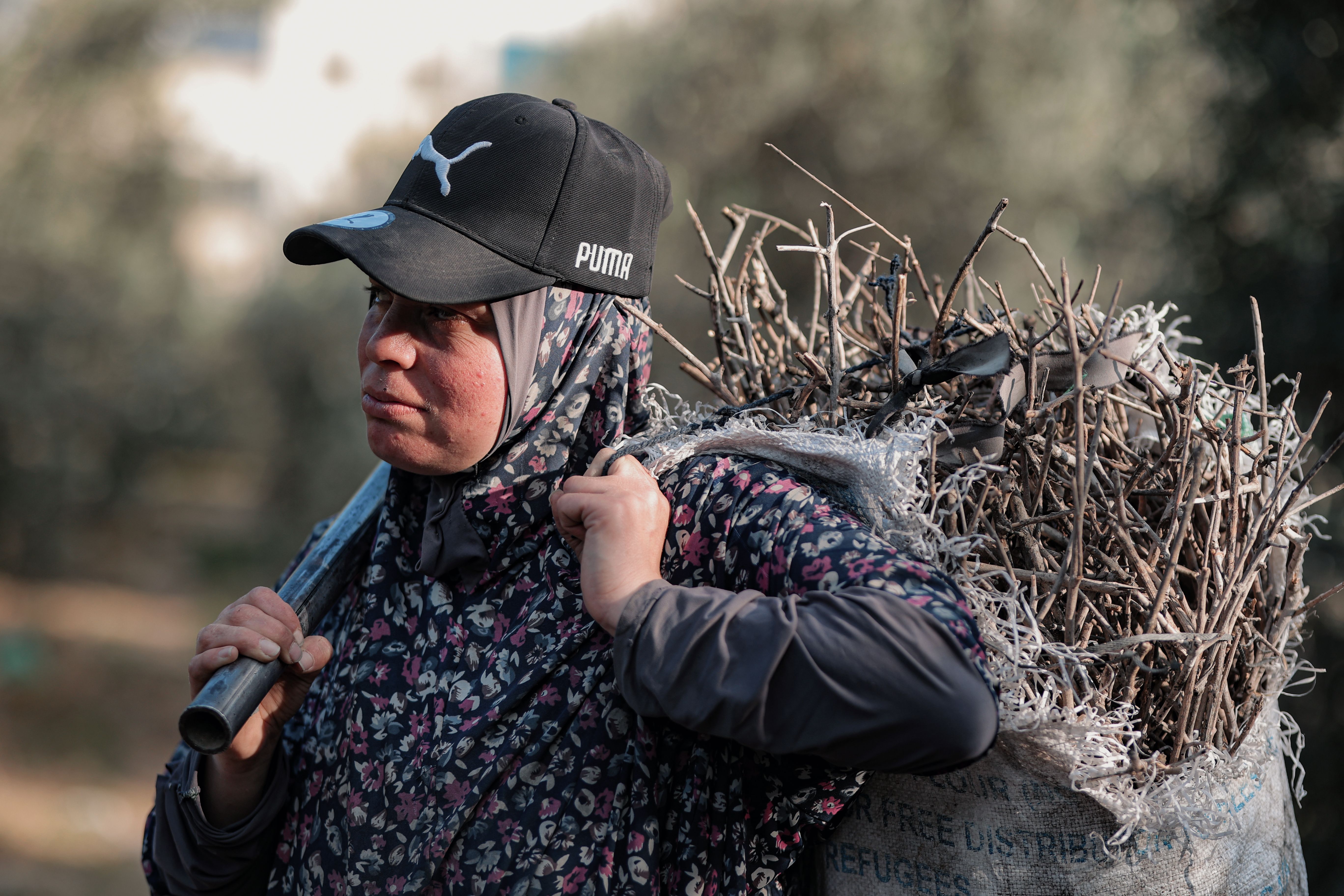 Palestinian officials hail local elections in a Gaza community and the West Bank — Photo by Hosny salah on Pexels