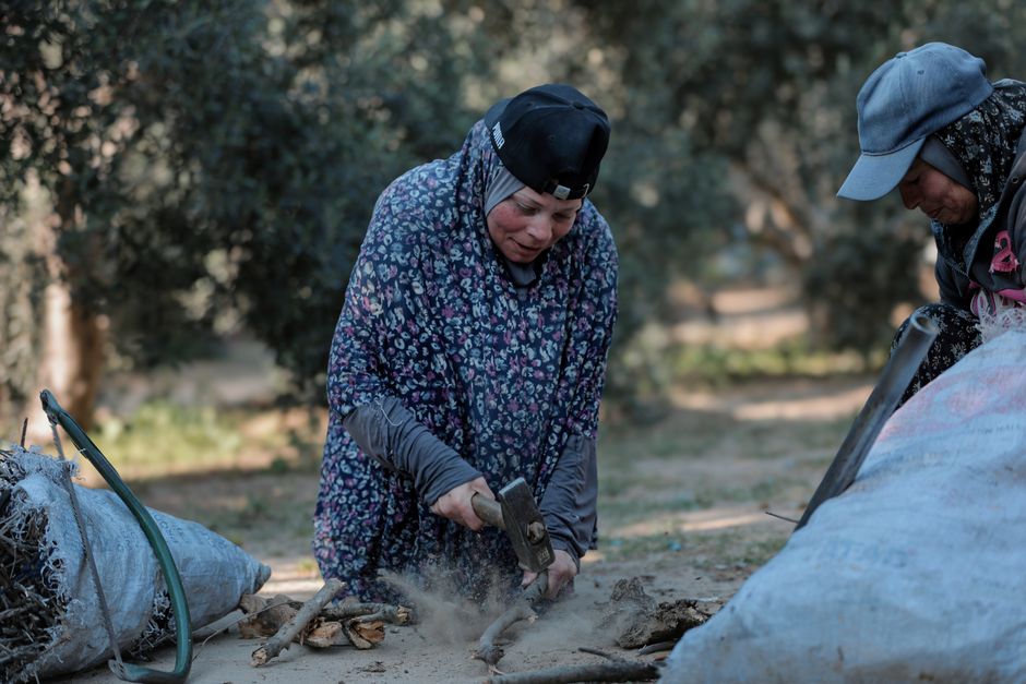 Two women engaged in manual agricultural labour outdoors in a rural setting
