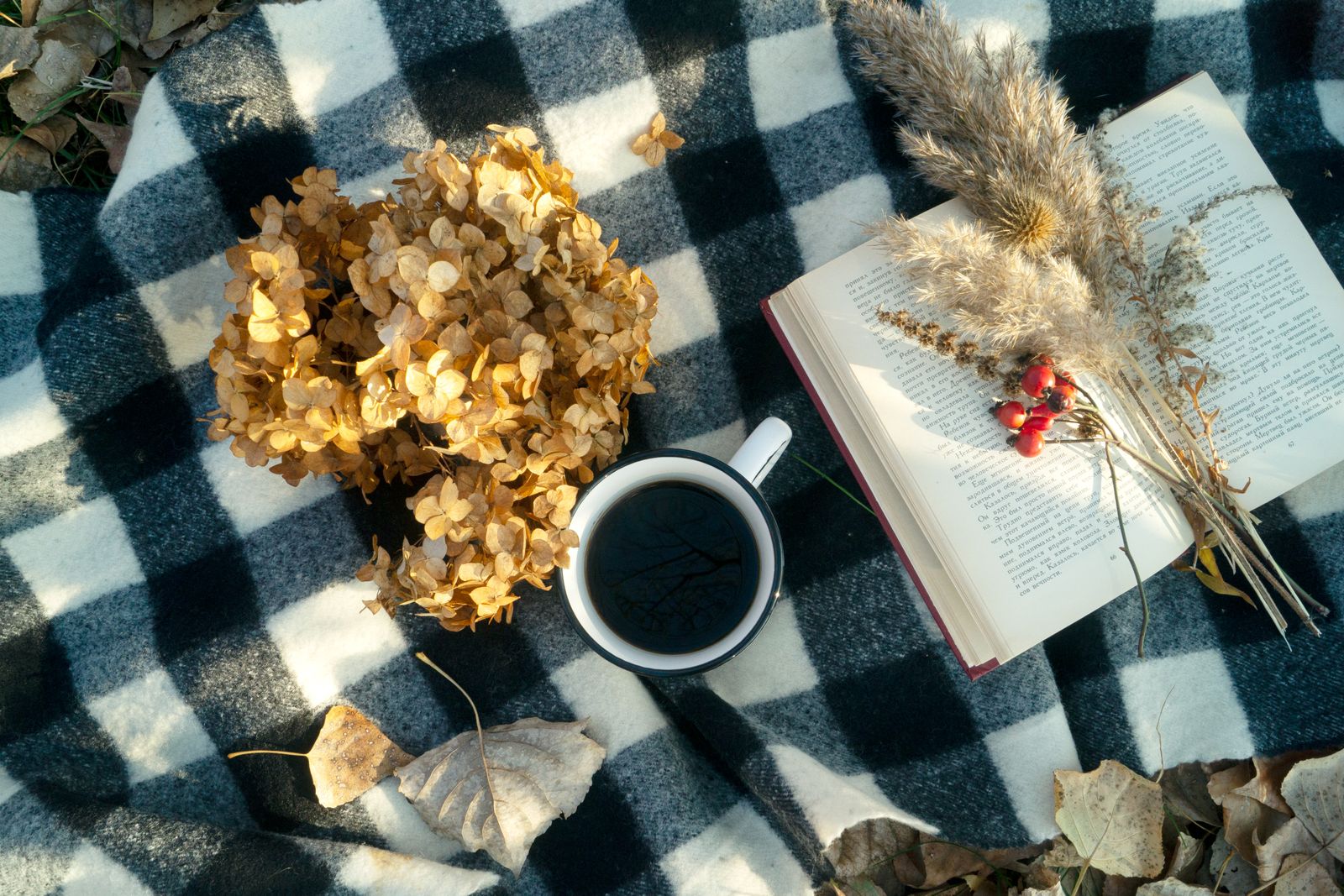Enkel höstpicknick med bok, kaffe och filt utomhus