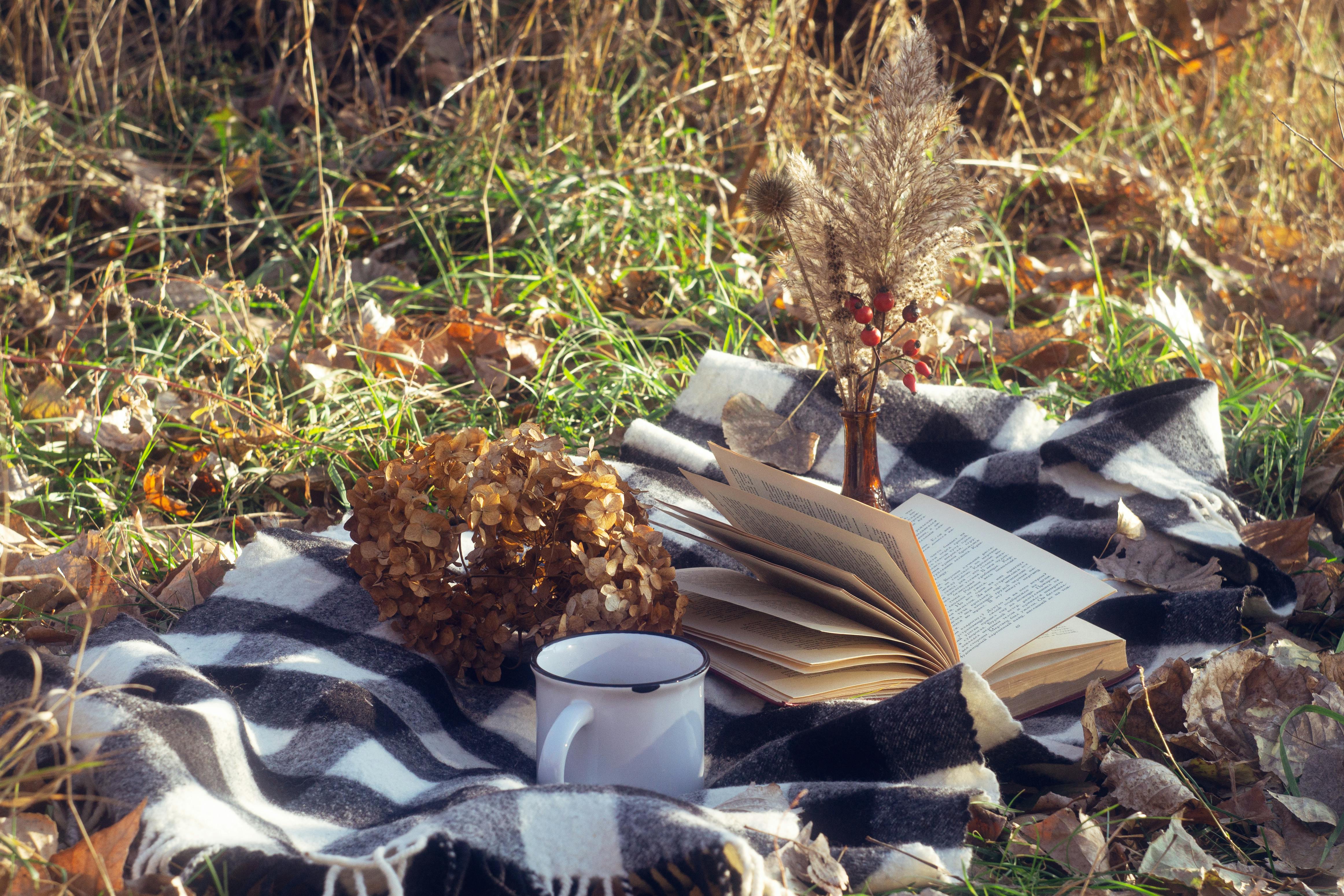 7 Best Hobby Lobby Fall Craft Finds Flying Off Shelves Right Now — Photo by Nataliia Zhytnytska on Pexels