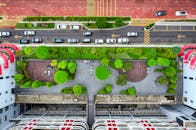 Aerial View of Green Trees on the Rooftop and Road Beside