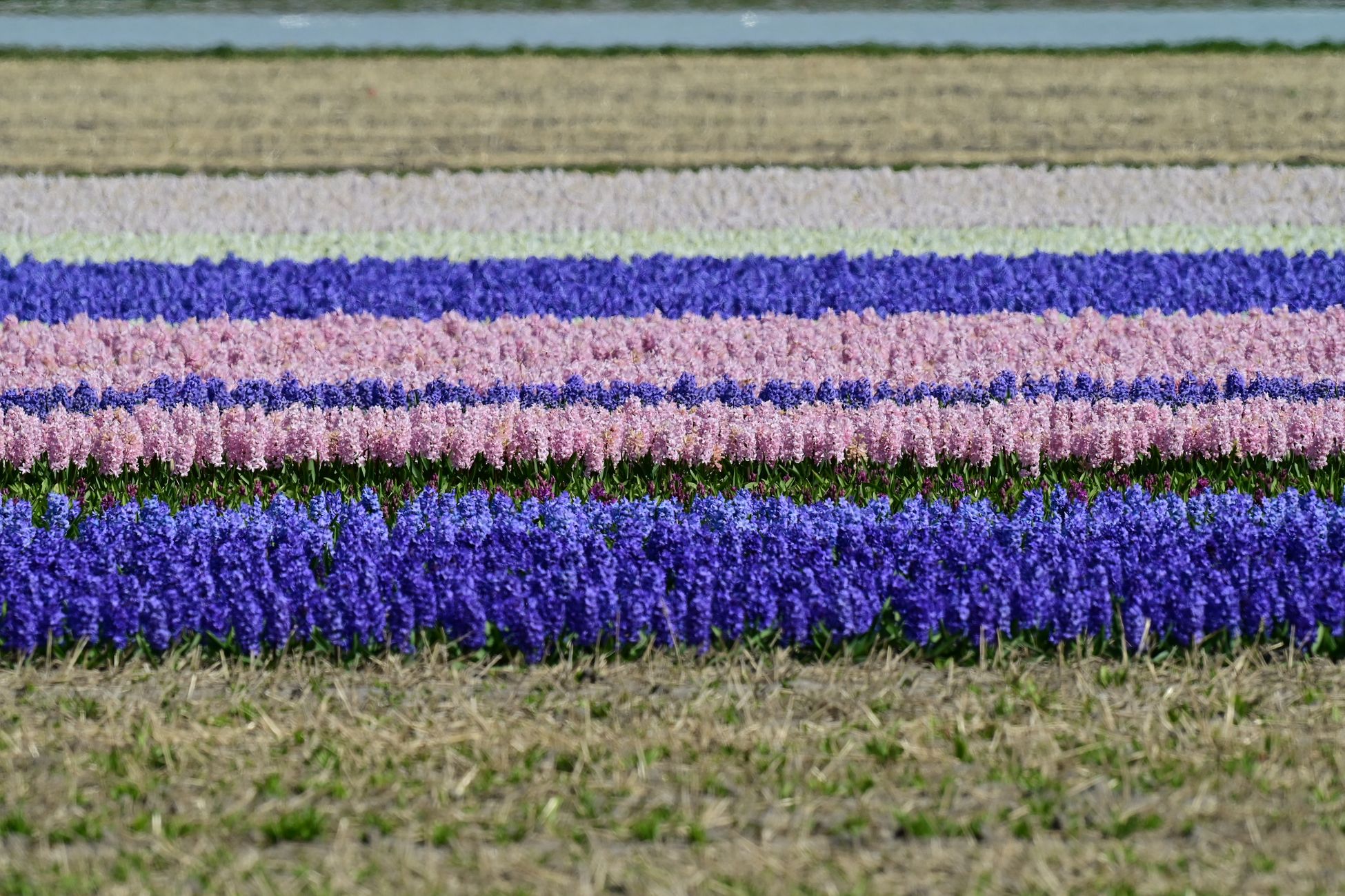 Ecoloog beantwoordt vragen over insecten en vlinders