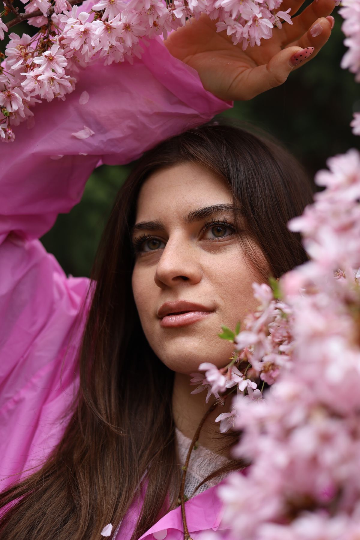 A Woman Standing and Posing under Cherry Blossom Tree · Free Stock Photo
