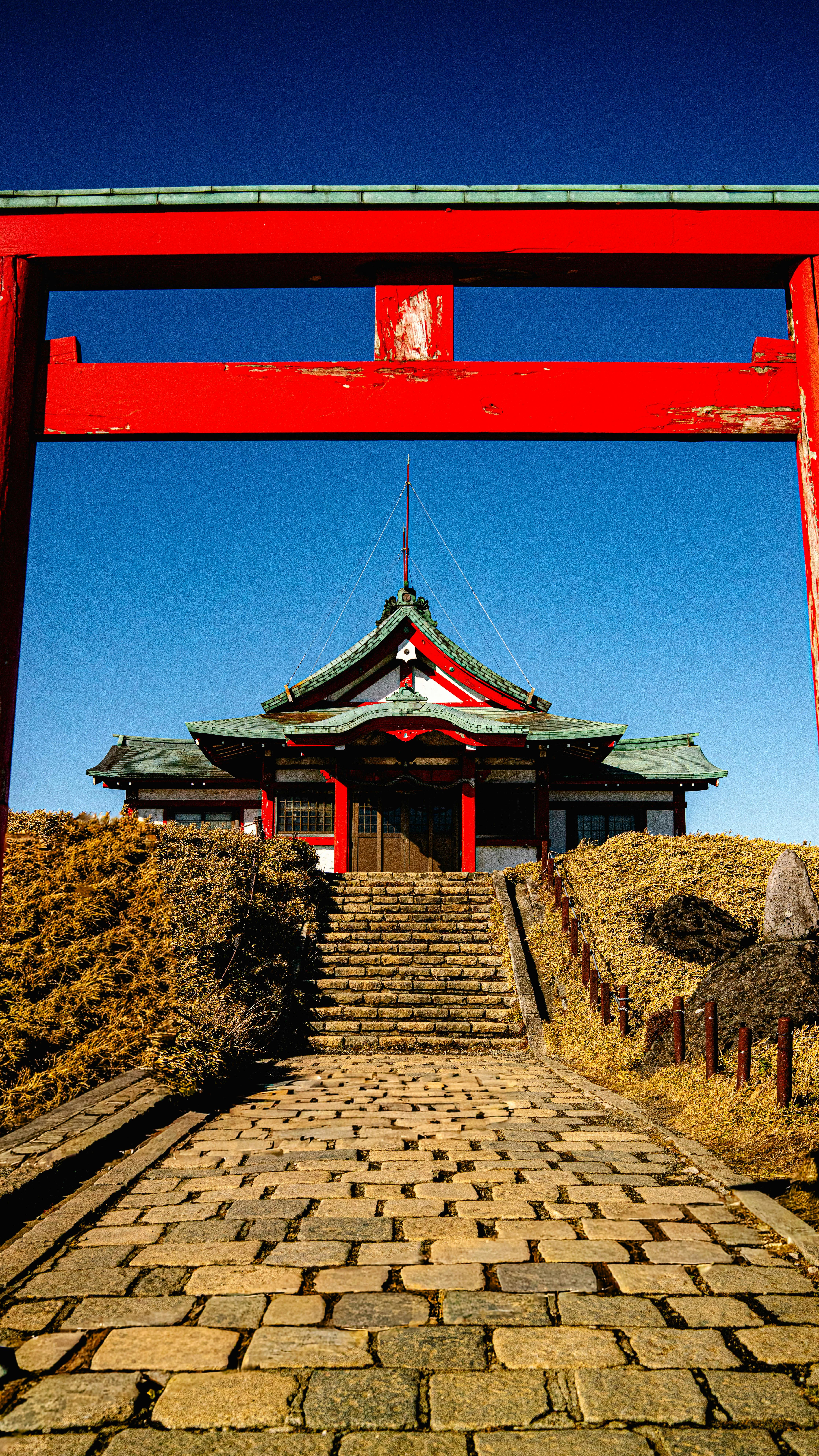 かに座の起源と由来