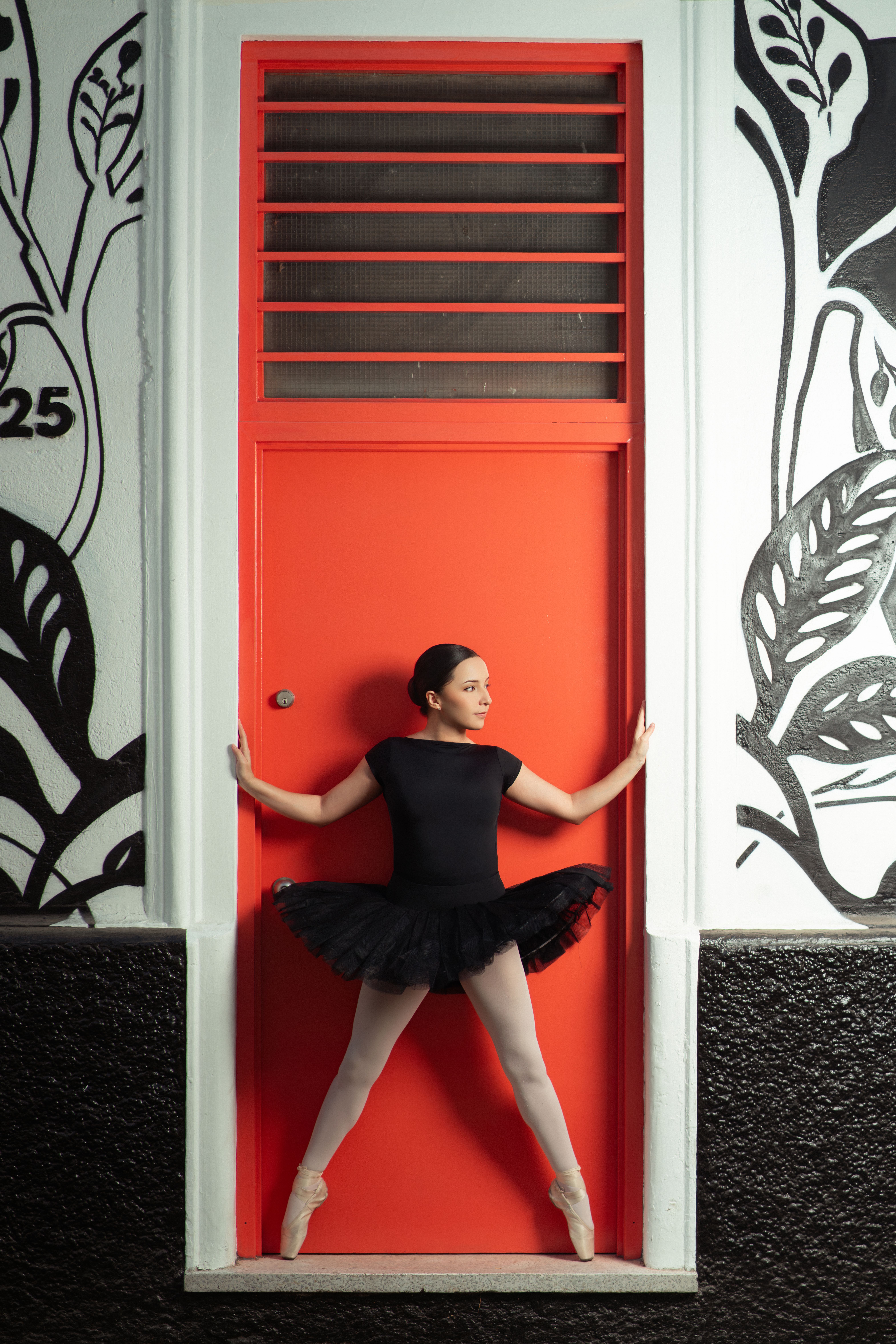 Elegant ballet dancer in black tutu striking a pose against a vibrant red door with artistic decor.