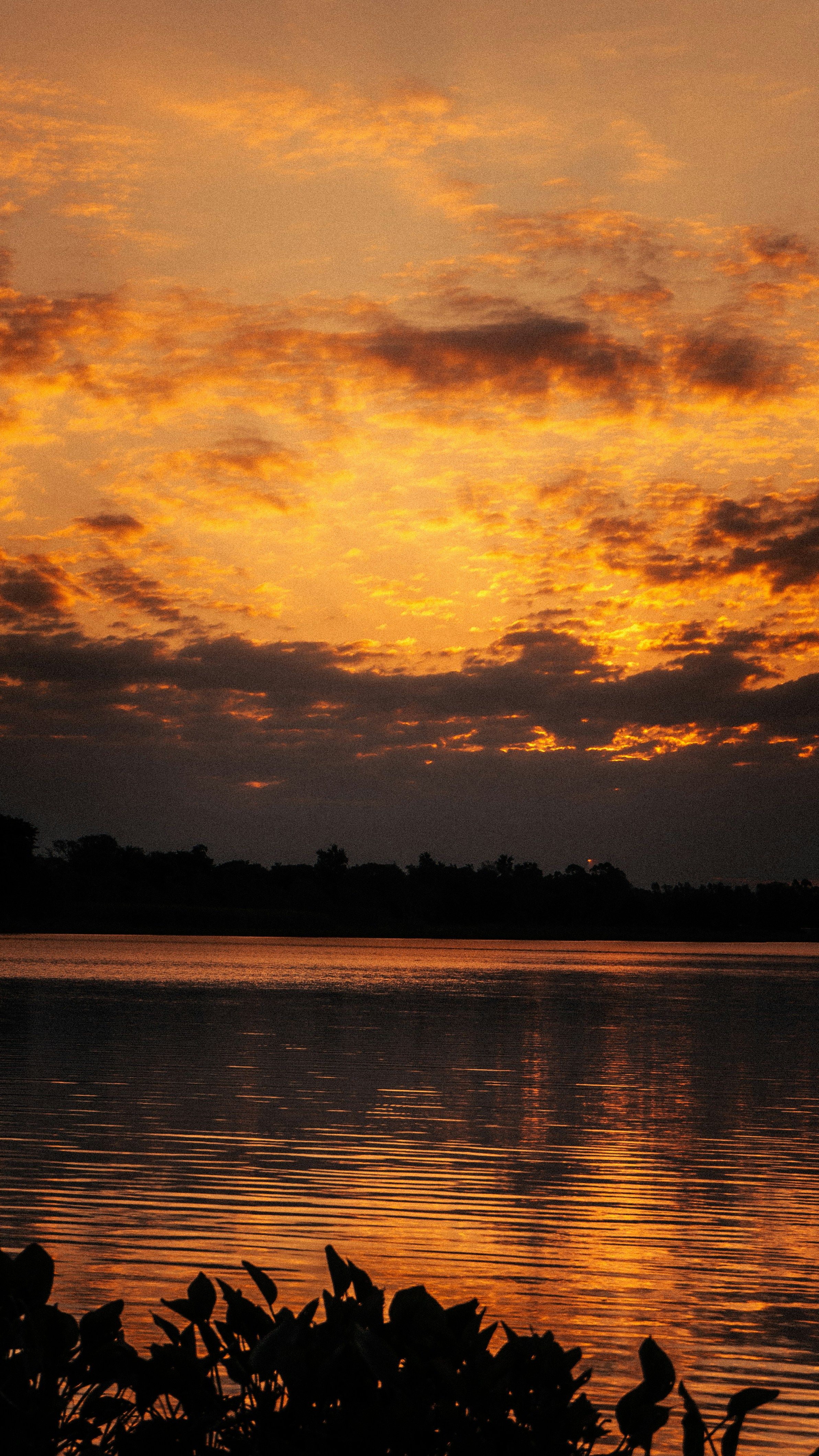 Golden sunset over a tranquil lake with silhouette reflections. Perfect for nature and landscape themes.