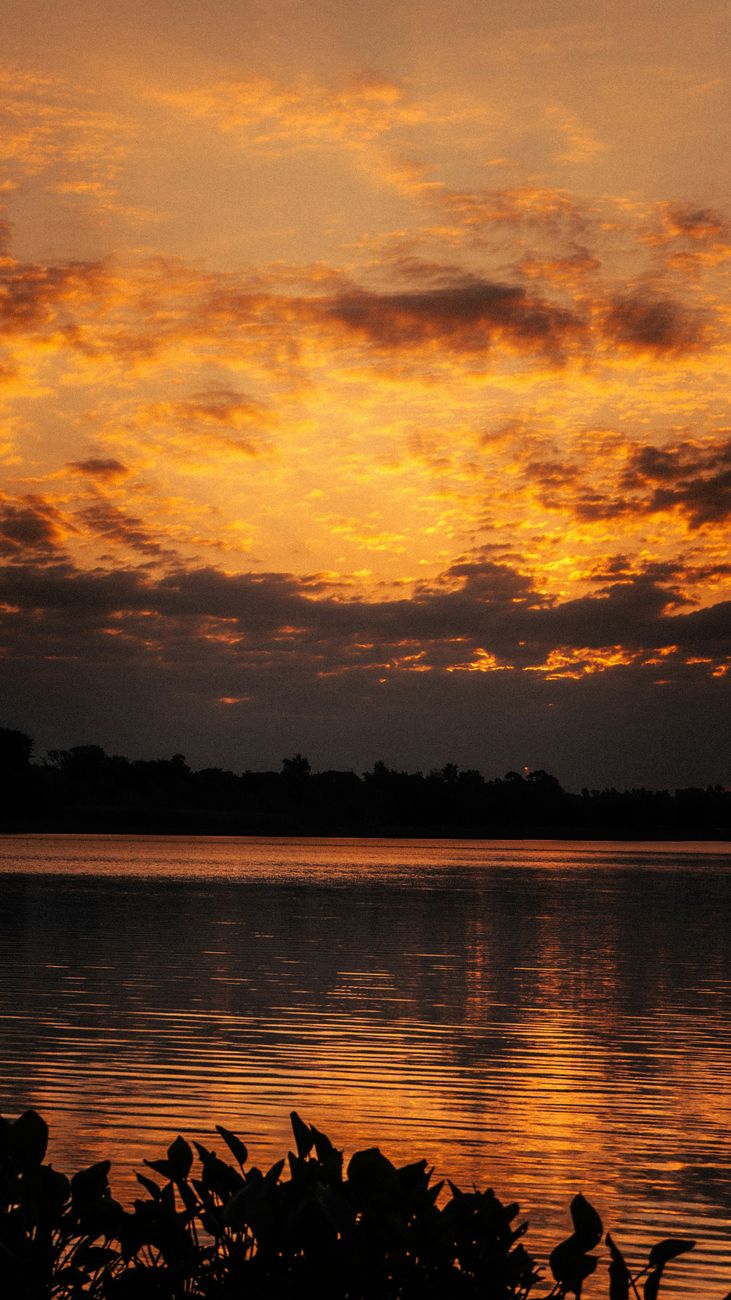 illustration d’un guitariste sénégalais au coucher du soleil au bord d’une lagune